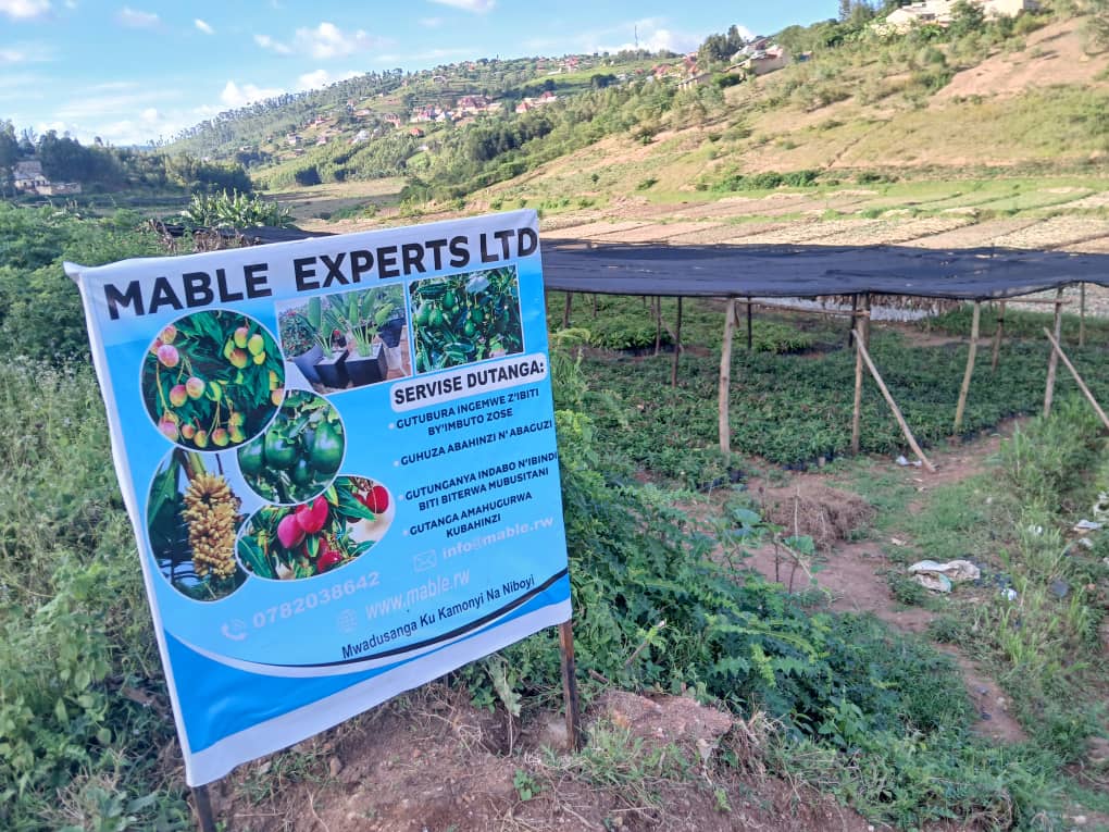 https://www.mable.rw